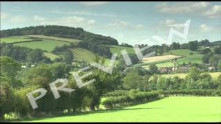 CLIP 1 Enterprise Case Study Tyrrells Crisps [upl. by Doria648]