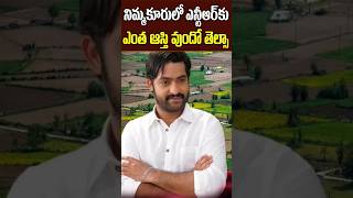 Jr NTR Lands and Net Value in Nimmakuru Village  Jr NTR Grand Fathers Home Town Tollywood Nagaram [upl. by Ecylla903]