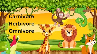 Carnivore herbivore omnivore Animals [upl. by Idnal]