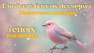 LUNIVERS TENVOIE DES SIGNES  JE TE DELIVRE SON MESSAGE ✨3 CHOIX 🩷INTEMPOREL [upl. by Appel]