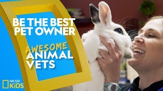 Be the Best Pet Owner  Awesome Animal Vets [upl. by Erbma]