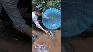 Bream fishing deep sea fishing tharu tribe match fishing silverfish fishing [upl. by Danella]