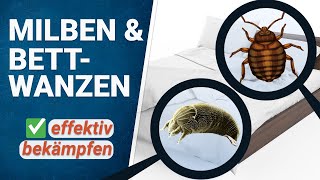 Milben und Bettwanzen bekämpfen [upl. by Jocelin]