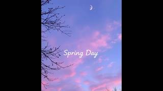 Spring Day by BTS springday bts shorts feed lyrics [upl. by Garling]