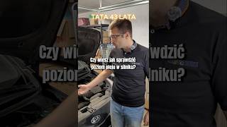 Jak sprawdzić poziom oleju w silniku auto serwis tata Syn edukacja [upl. by Devi774]