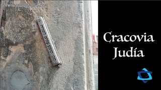 7 sinagogas para 200 judíos Lo que queda de la judería de Cracovia [upl. by Gusti]