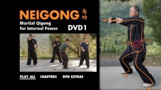 NEI GONG  Martial Arts Qigong YMAA Dr Yang JwingMing [upl. by Stiles935]