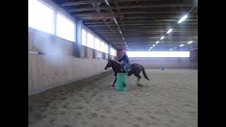 Barrel Racing without Bridle  Wendy Schrievers and Big Boy [upl. by Annaor275]