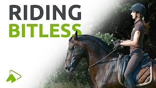 How to Ride Your Horse Bitless Learn with Alizee Froment  wehorse [upl. by Gilmore471]