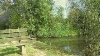 PRACHTIGE NATUUR EN ONTSPANNENDE MUZIEK  BEAUTY OF NATURE AND RELAXING MUSIC [upl. by Phio]