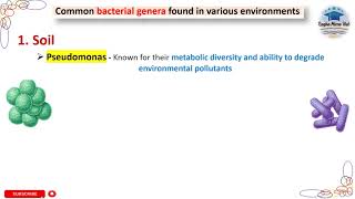 Common soil bacteria bacteriology bacteria microbiology [upl. by Salman]