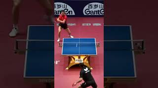 Insane Rally from Timo Boll 🇩🇪 pingpong tabletennis tenisdemesa tischtennis shorts [upl. by Evreh]