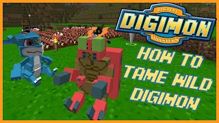 EASY WAY TO TAME WILD DIGIMON Minecraft Digimobs Mod [upl. by Inajar]