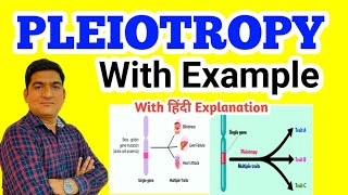 PLEIOTROPY  Principles of Inheritance and Variation pleiotropy genetics [upl. by Gerrald]