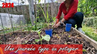 Une JOURNEE au potager en mai  Vlog 08 [upl. by Brockie]