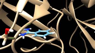 Binding mode of benzamidine in the trypsin enzyme [upl. by Tail43]