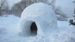 Common Questions About Igloos [upl. by Gilford]