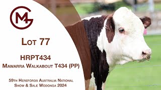 Lot 77 Mawarra Walkabout T434 PP [upl. by Anatol]