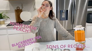 Tasting our HOMADE Kombucha Recipes  Unique flavors to fix your gut [upl. by Yenal453]