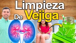 Limpia Y Desintoxica Tu Vejiga  Cómo Hacer Una Limpieza De Vejiga Y Eliminar Infecciones Urinarias [upl. by Federica]