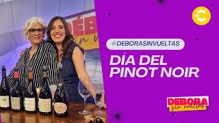 Día Mundial del Pinot Noir en canalciudadba [upl. by Rhpotsirhc719]