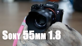 Testbericht Sony 55mm Objektiv an A7 II und A7R III [upl. by Inalial]