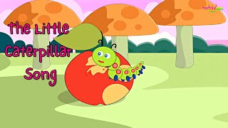 The hungry little caterpillar  caterpillar song for kids [upl. by Marleen22]