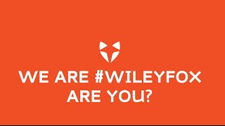 We are Wileyfox Are you [upl. by Satterfield]