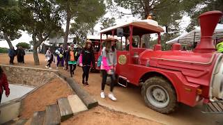 Diverland 2019  Camping Intercalonge [upl. by Pyle]