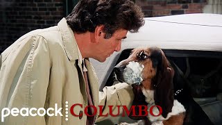 The Best Of Columbos Dog  Columbo [upl. by Nallid528]