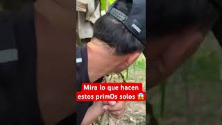 amazing mamas musicapp video migraciones funny shorts shortvideos instagram tendencia [upl. by Nyleuqcaj]