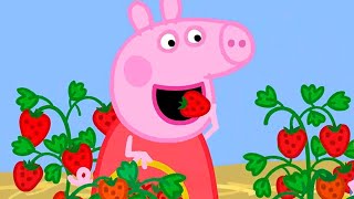 Peppa Pig Full Episodes  Season 8  Compilation 47  Kids Video [upl. by Spillihp]