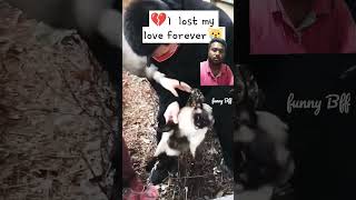 Cat miss You😨 cat emotional cat lover sad cry emotional status music [upl. by Vijnas868]