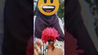 phul er shondorjo tamoner shanti☺️🌹flower from friend surprise flower amp gajra 🤭😍 shortvideo [upl. by Other]