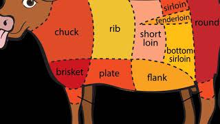 Beef Cow Meat Cuts Chart [upl. by Gladis692]