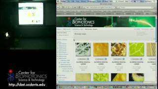 Handson Spectrophotometry with Light Sources [upl. by Lorita45]