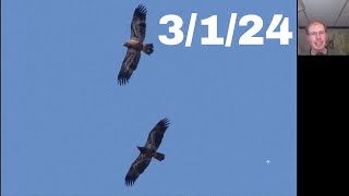 1 First Official Day of the Braddock Bay Hawk Watch 2024 Season 3124 [upl. by Encrata]