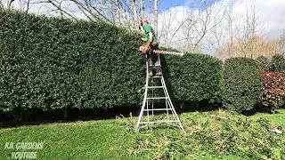 Privet Hedge REDUCTION [upl. by Aihpledalihp994]