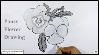 pansy flower drawing  pansy flower ki drawing  pansy flower drawing easy  drawing of pansy flower [upl. by Canter]