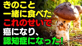 きのこと一緒に 「これ」 は絶対に食べないで🍄‍🟫 茸、キノコと食べると滋養強壮剤になる3選＆レシピ！栄養補助食品の代わりにこれ！【がん・認知症予防、長寿、脳健康情報、秋 料理効果、えのき しめじ】 [upl. by Lillian]