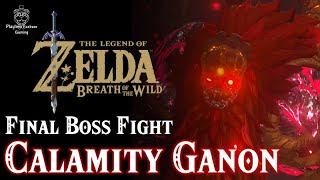 Calamity Ganon Final Boss Fight FR  The Legend of Zelda Breath of the Wild  Playtime Fazbear [upl. by Nakashima]