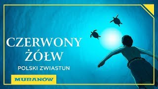 Kino Muranów CZERWONY ŻÓŁW 2016 zwiastun PL [upl. by Chara]