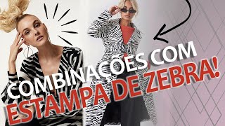 COMBINAÇÕES DE LOOKS  ESTAMPA DE ZEBRA [upl. by Atarman]