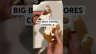 Air Fryer Smores Cookies  Easy amp Delicious [upl. by Lindbom]