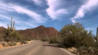 A Drive Through the Saguaro National Park Tucson Arizona [upl. by Mcmahon]