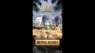 WOLF GAME  Which Species of Wolf Would You Pick [upl. by Akem]