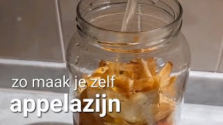 Appelazijn  zo maak je die zelf [upl. by Neitsirk]