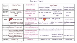 Trematodes  Parasitology [upl. by Arimahs]