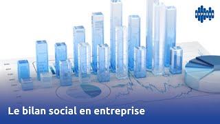 Le bilan social en entreprise [upl. by Elhsa137]