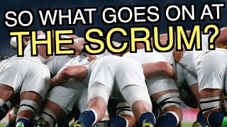 So what goes on at the Scrum with England scrum coach Tom Harrison [upl. by Othilia]